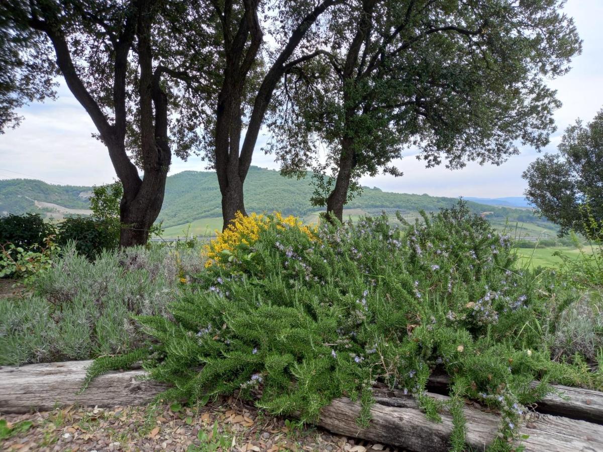 Agriturismo Riparossa Allerona Buitenkant foto