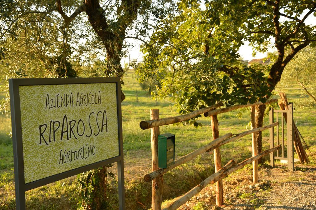 Agriturismo Riparossa Allerona Buitenkant foto