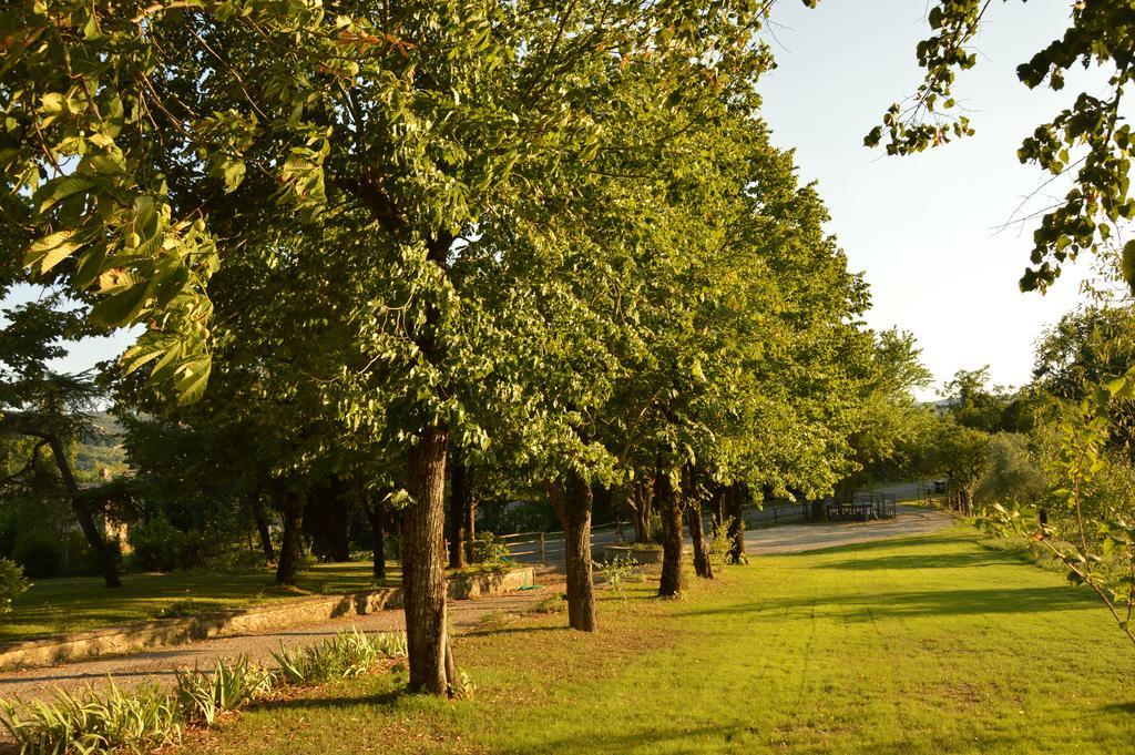 Agriturismo Riparossa Allerona Buitenkant foto
