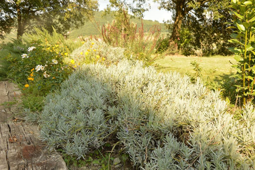 Agriturismo Riparossa Allerona Buitenkant foto