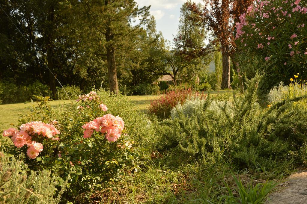 Agriturismo Riparossa Allerona Buitenkant foto