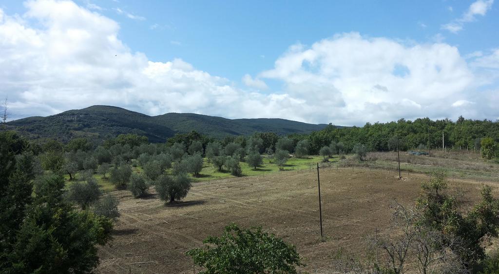 Agriturismo Riparossa Allerona Buitenkant foto