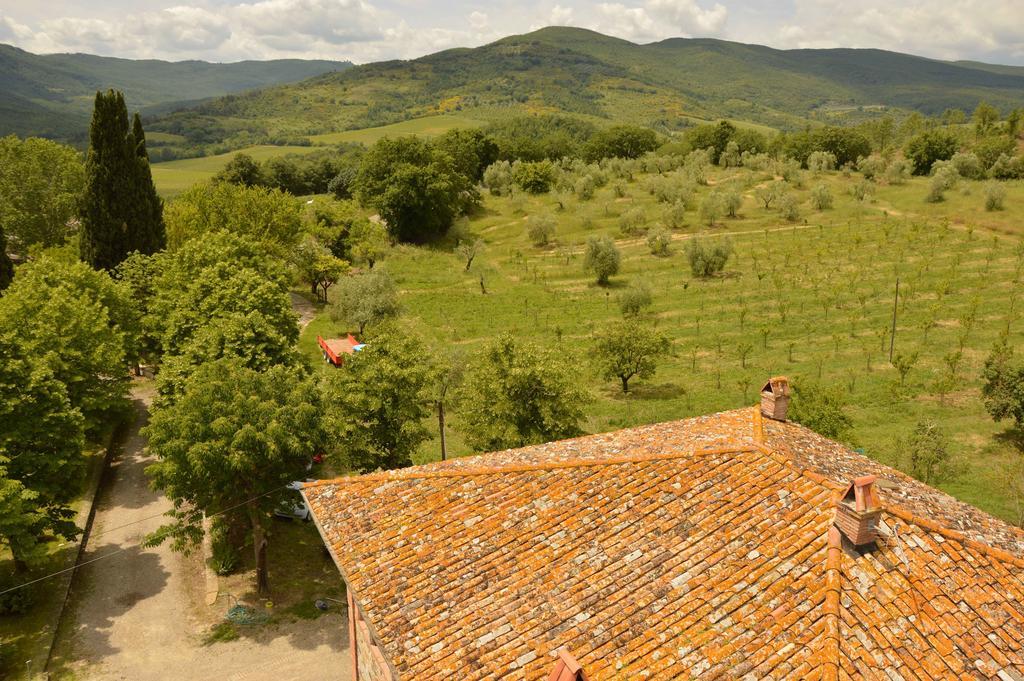 Agriturismo Riparossa Allerona Buitenkant foto