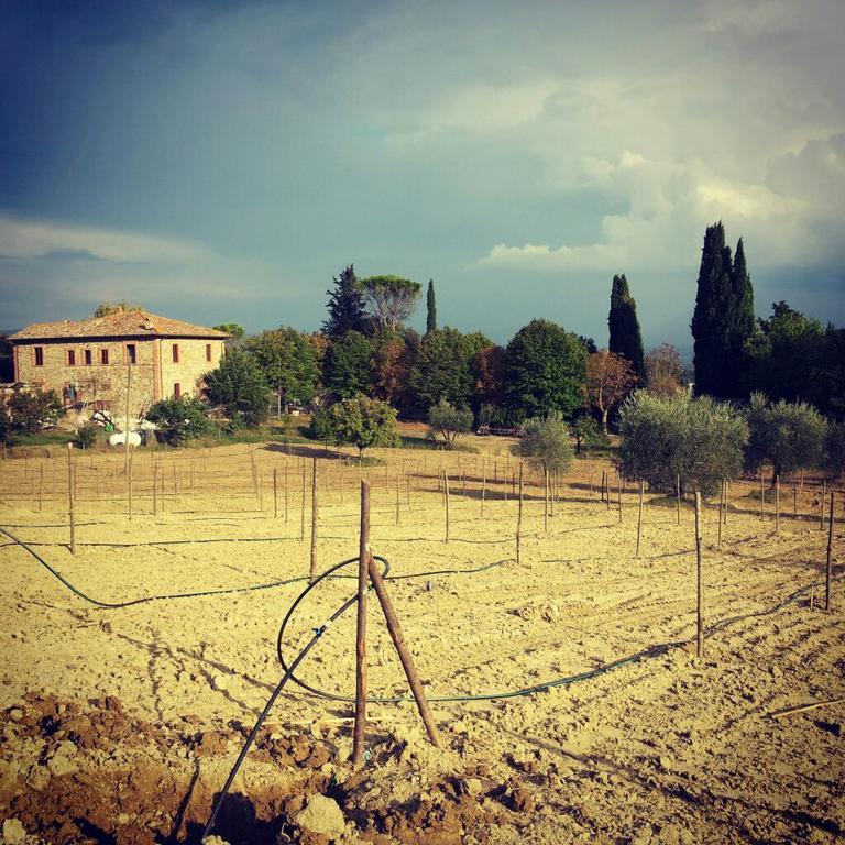 Agriturismo Riparossa Allerona Buitenkant foto