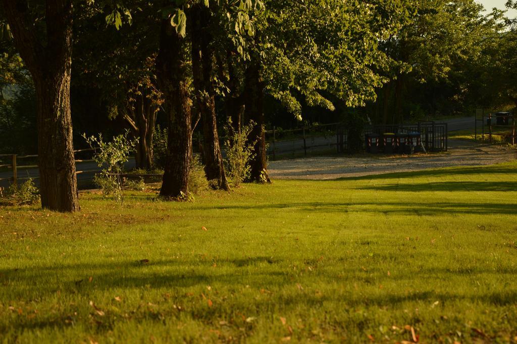 Agriturismo Riparossa Allerona Buitenkant foto