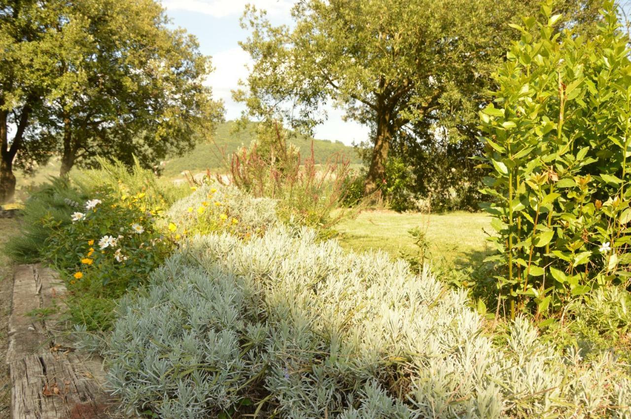Agriturismo Riparossa Allerona Buitenkant foto