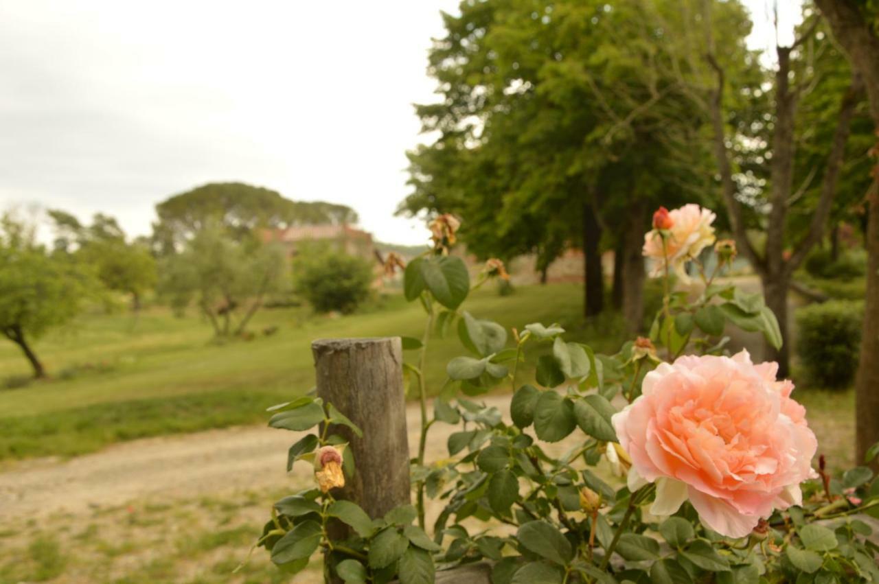 Agriturismo Riparossa Allerona Buitenkant foto