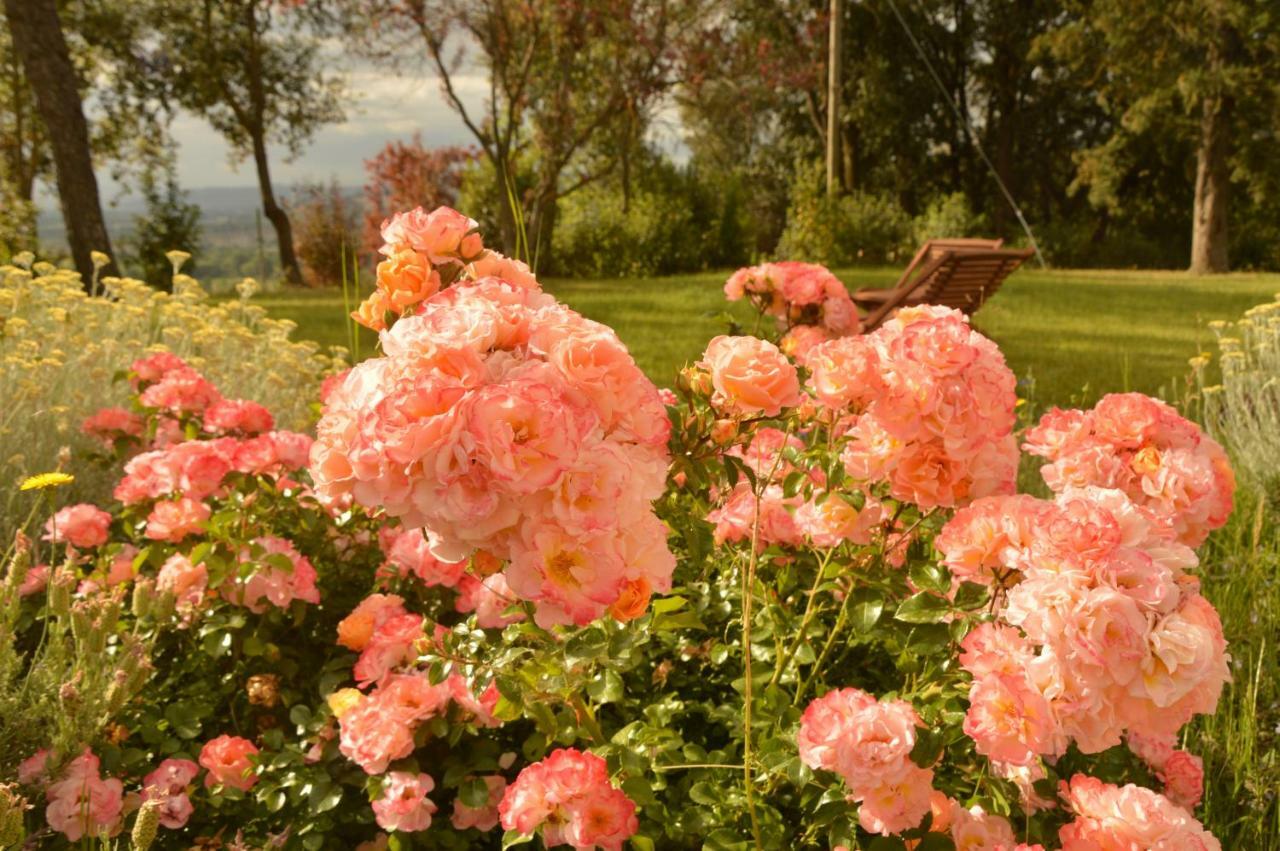 Agriturismo Riparossa Allerona Buitenkant foto